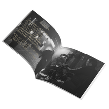 Load image into Gallery viewer, Building the World of Birds Mini-Booklet
